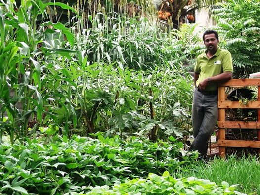 Hemantha in his Sri Lanka Garden