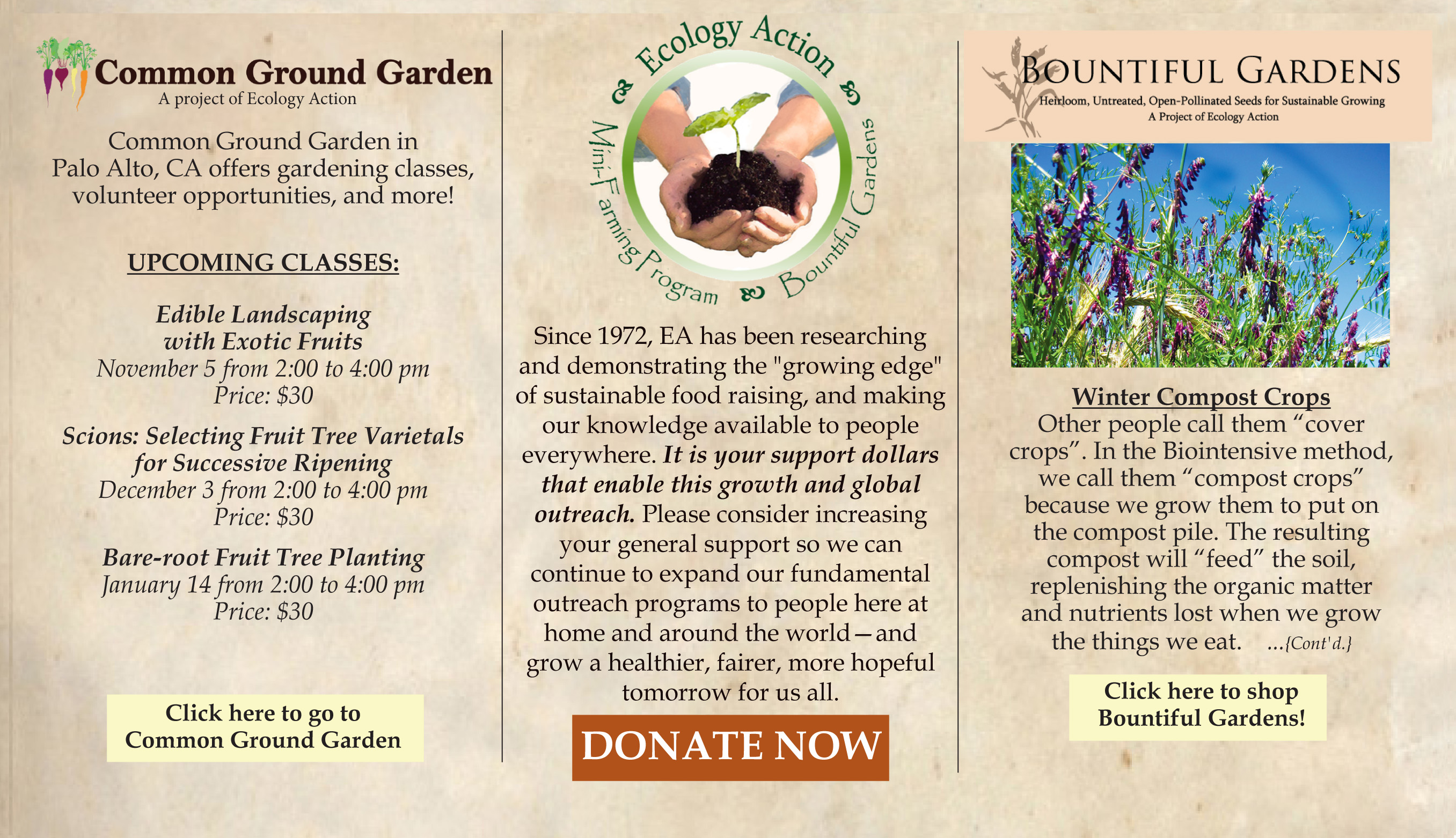 ______
41 Years.
143 Countries.
Millions of people educated.
Millions of garden beds created.
Billions of pounds of fertile soil grown.
...and we're just getting started.
Grow Hope. Grow Abundance.
GROW BIOINTENSIVE!
Please donate to keep our work growing at home and around the world!
https://secure.growbiointensive.org/
___________________________________________
Common Ground Garden 
While the Common Ground Garden Supply and Education Center closed its doors in 2014, our Common Ground Garden in Palo Alto, CA is still growing strong, offering gardening classes for kids and adults, gardening volunteer opportunities, and more! Visit us online to learn more: 
http://www.commongroundgarden.org
___________________________________________
Bountiful Gardens: Seeds, Tools and Books Online
The new 8th edition of John Jeavons' classic Biointensive gardening handbook, How to Grow More Vegetables is available from Ecology Action's online store, Bountiful Gardens, along with organic seeds, quality tools and other books, articles and videos on sustainable living.
http://www.bountifulgardens.org
___________________________________________
©2015 Ecology Action. All Rights Reserved.
---------------------------------------------------------------------