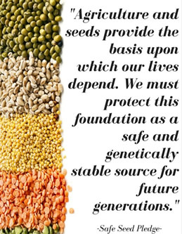 Agriculture and seeds are the basis upon which our lives depend. We must protect this foundation as a safe and genetically stable source for future generations. - Safe Seed Pledge