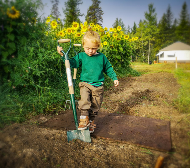 Lincoln, learning to double dig 