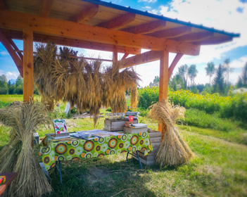 Tour Station with books and grains