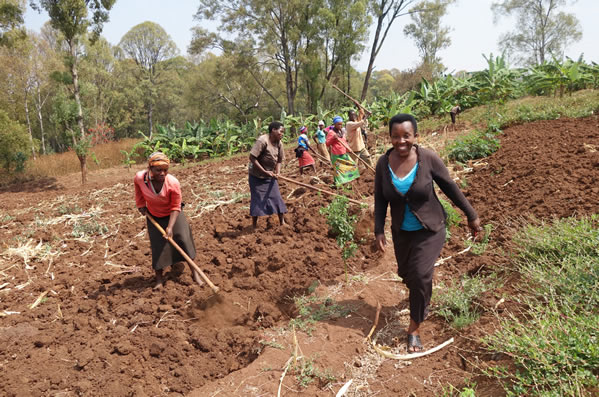 Agronomist Athanasie Uwitonze and farmworkers prepare the soil for planting.