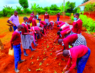 Kanjuku Primary School students learning GROW BIOINTENSIVE farming, 2021
