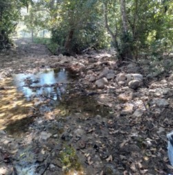 The land in La Santa Cruz el Tuito, a running creek