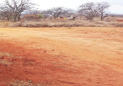 Drought-stricken Taita-Taveta countryside (image credit: Garden of Hope)