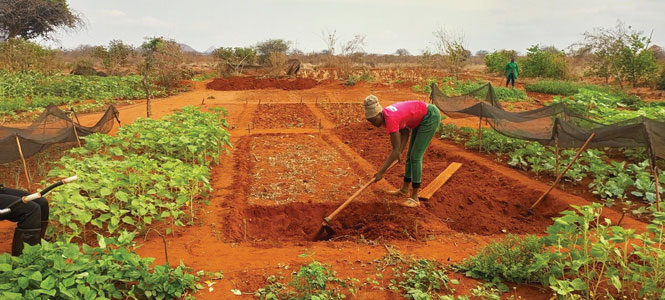 Thriving and abundant Garden of Hope (image credit: Garden of Hope)