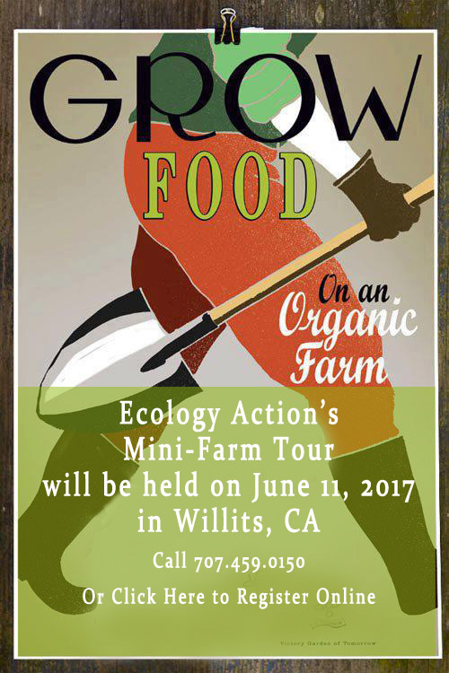 Mini Farm Tour June 10, 2017