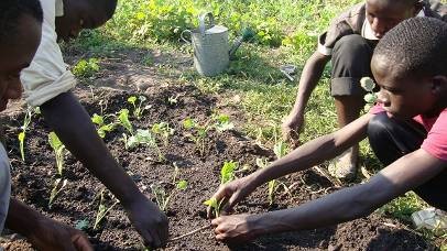 Teaching youth in Malawi