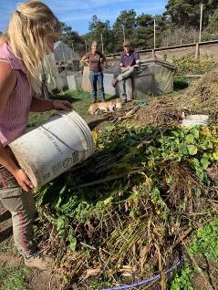 Participants learned that compost piles need the correct combination of materials