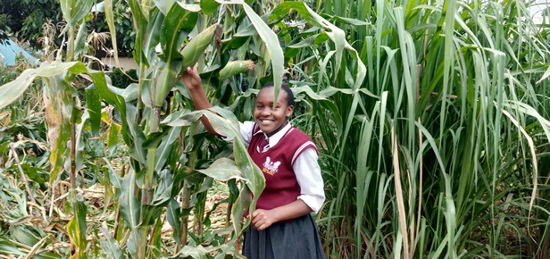 “We are not growing maize for food but for soil fertility,”  says Lyra Malaba, form one- 2019