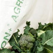 Agribon with broccoli