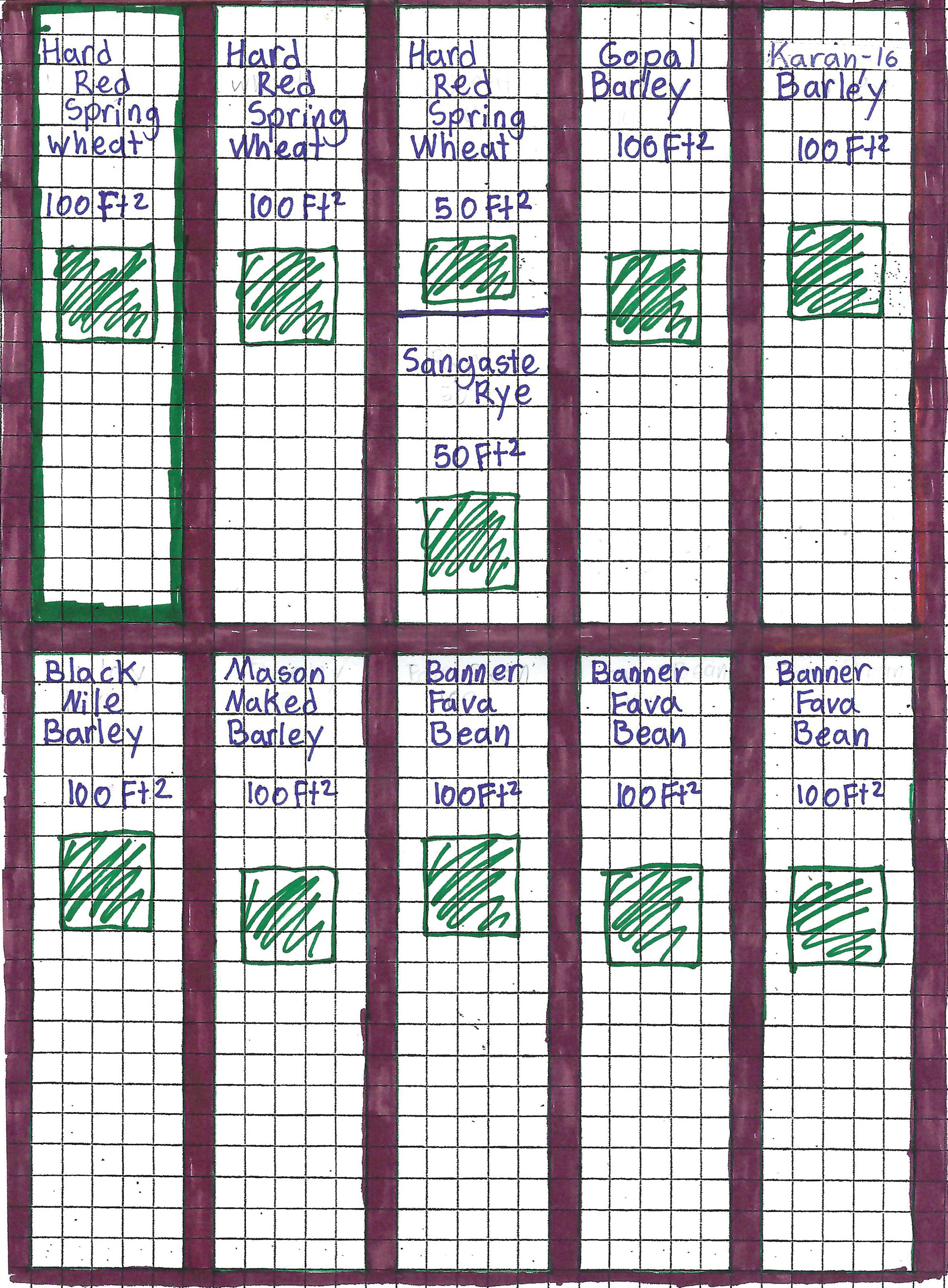 Winter 10-Bed Unit Plan