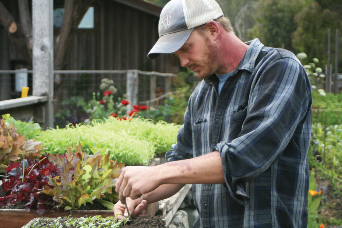 Matt, working with seedlings at Victory Gardens for Peace