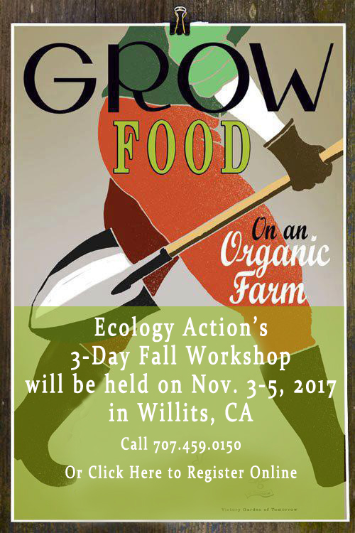 3-Day Workshop Nov. 2-4, 2012