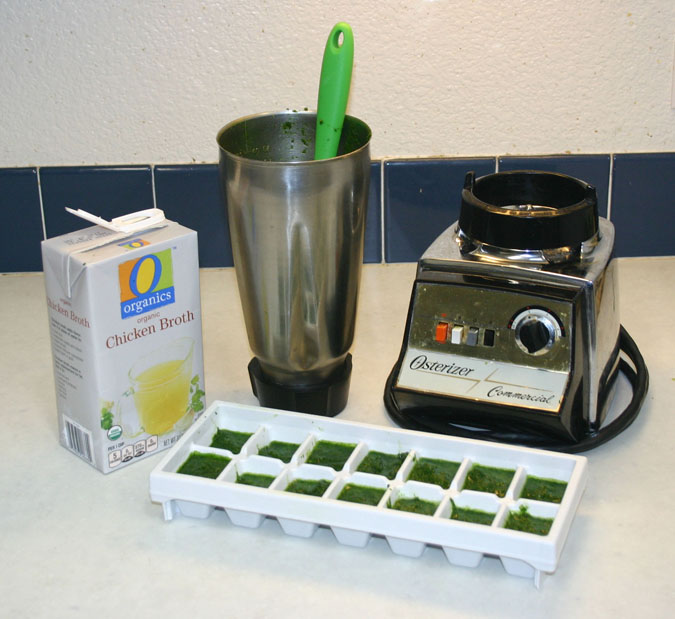 Parsley puree in an ice cube tray, ready for freezing