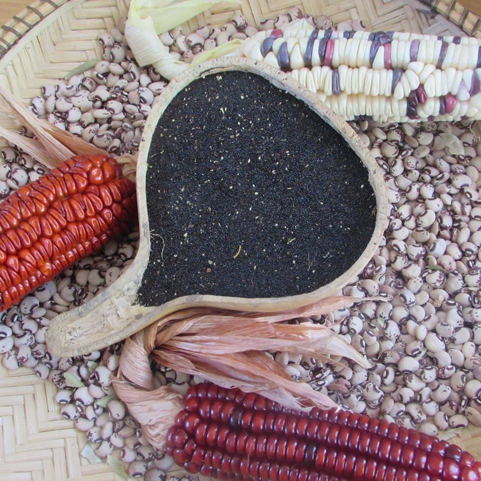 Harvesting and saving open-pollinated seeds is something ALL farmers can do!