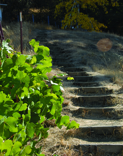 The path to the Mini_Farm at The Jeavons Center