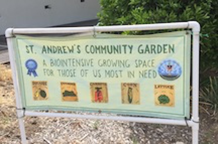 St Andrew's Community Garden A Biointensive Growing Space for Those of Us Most in Need