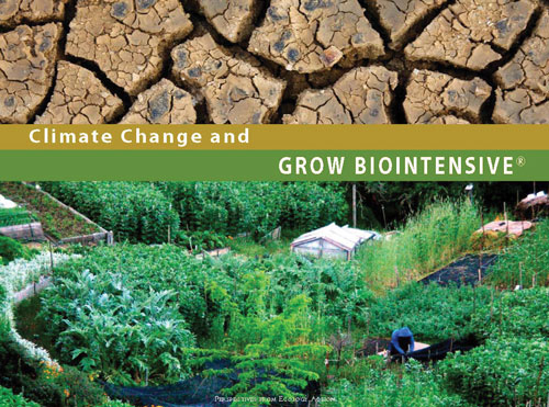 Free Booklet in English, French, and Spanish: Climate Change and GROW BIOINTENSIVE 