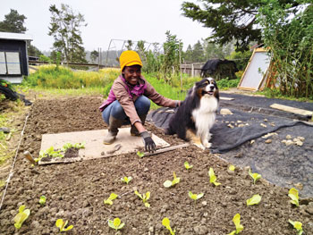 Clarice and canine assistant transplanting starts in the Victory Gardens for Peace Mini-Farm