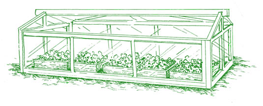 Mini-Greenhouse from The Backyard Homestead Mini-Farm and Garden Log 