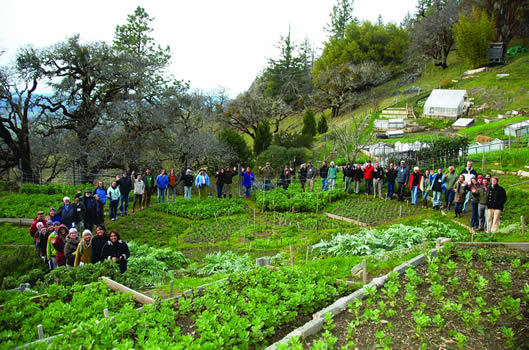 Biointensive Workshop at Ecology Action in Willits