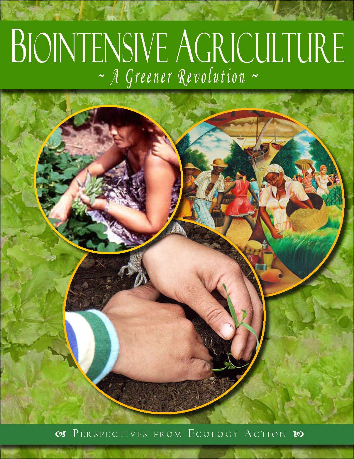 Biointensive Agriculture: A Greener Revolution