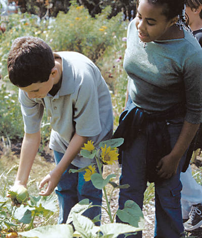 Edible Schoolyard Garden